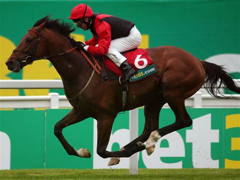 bet365 com au darwin|Horse Racing .